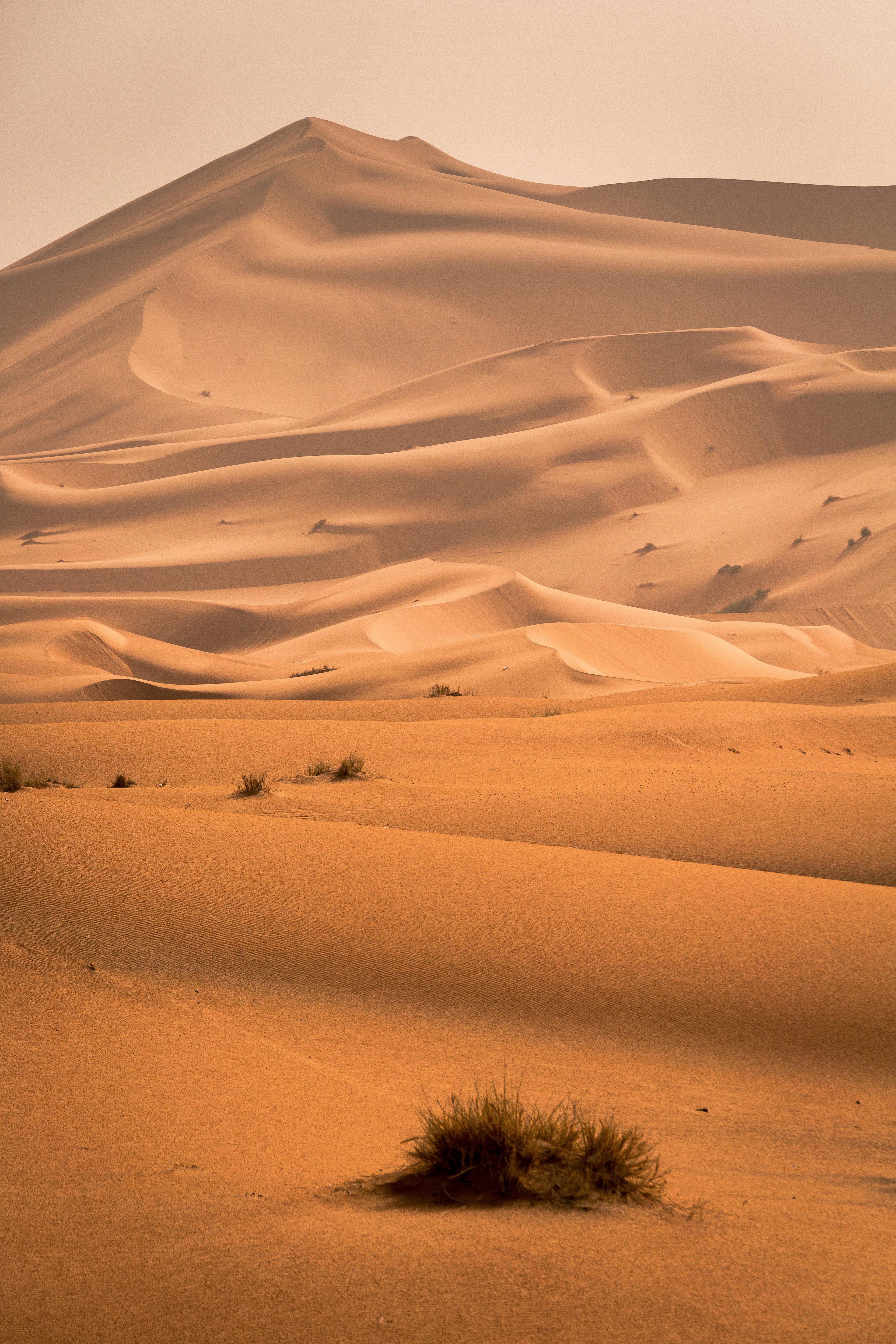 Sahara Suite